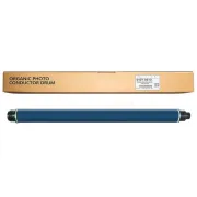 Ricoh D1979510 - optična enota