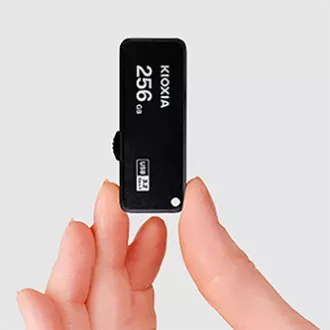 Kioxia USB ključek, USB 3.0, 256 GB, Yamabiko U365, Yamabiko U365, črn, LU365K256GG4