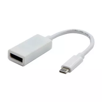 Pretvornik USB/video, DP Alt Mode, USB C moški - DisplayPort ženski, bel, 4K2K@30Hz 65507, RAZPRODAJ