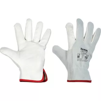 Usnjene rokavice LINOTTE sive barve 9