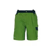 STANMORE kratke hlače zelena/črna 48