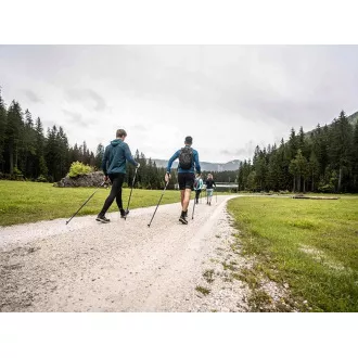 Treking palice za nordijsko hojo z ergonomskim ročajem iz plute, 135 cm, 2 kosa