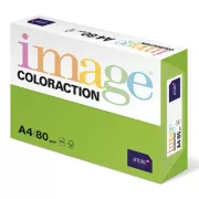 Kserografski papir Coloraction, Java, A4, 80 g/m2, srednje zelen, 500 listov, primeren za brizgalni tisk