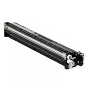 Ricoh D1773020 - toner, black (črn)