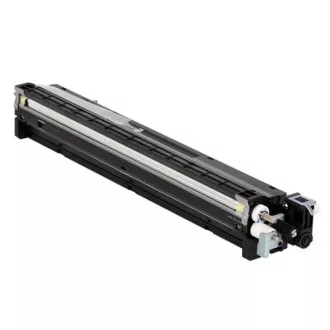 Ricoh D1773020 - toner, black (črn)