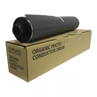Ricoh D0099510 - toner, black (črn)
