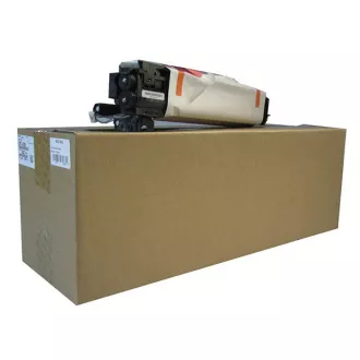 Ricoh D117-0121 - optična enota, black (črna)