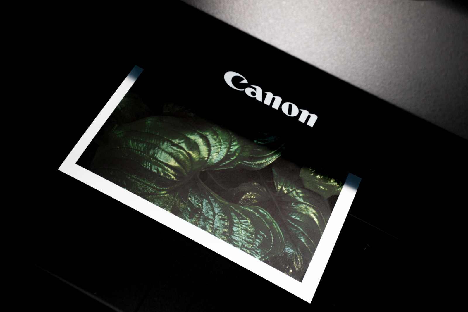 Tisk slike na tiskalniku Canon